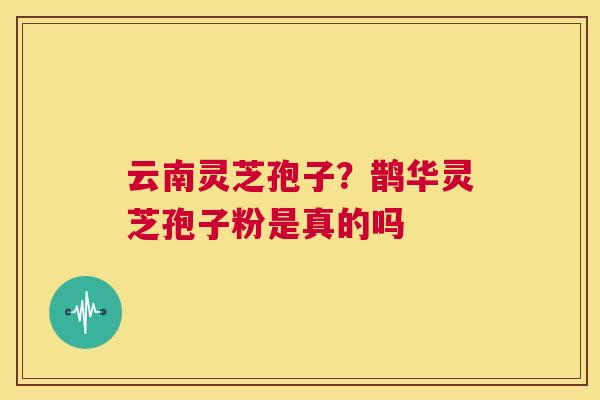 云南灵芝孢子？鹊华灵芝孢子粉是真的吗  第1张