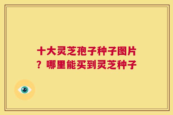 十大灵芝孢子种子图片？哪里能买到灵芝种子  第1张
