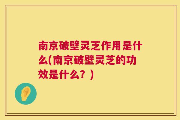 南京破壁灵芝作用是什么(南京破壁灵芝的功效是什么？)  第1张