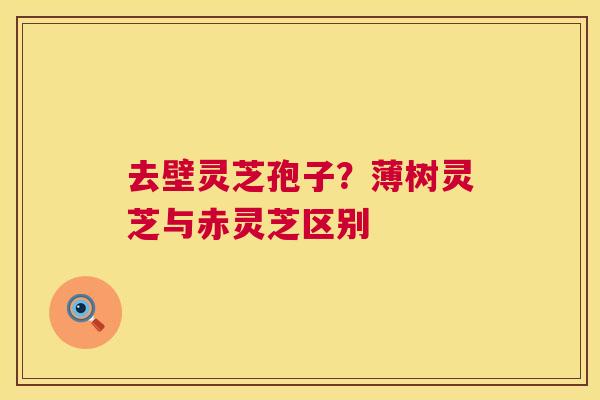去壁灵芝孢子？薄树灵芝与赤灵芝区别  第1张