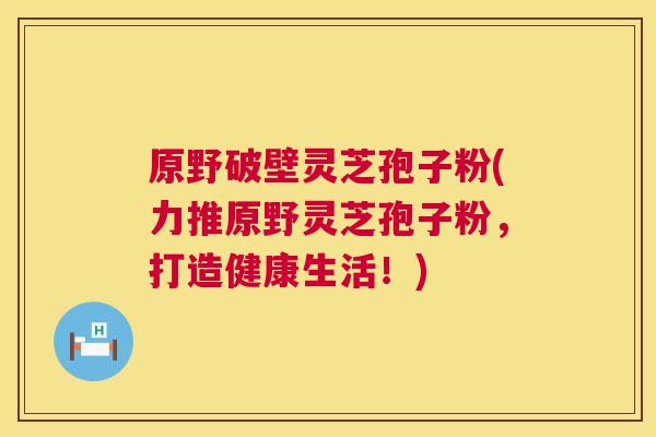 原野破壁灵芝孢子粉(力推原野灵芝孢子粉，打造健康生活！)  第1张