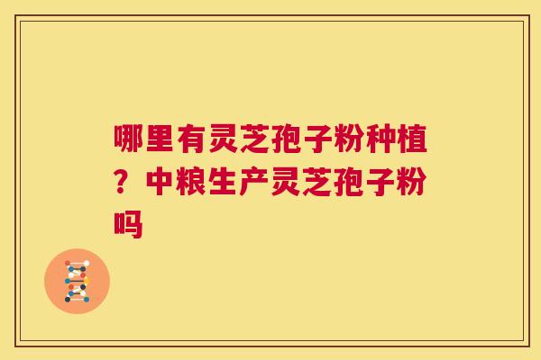 哪里有灵芝孢子粉种植？中粮生产灵芝孢子粉吗  第1张
