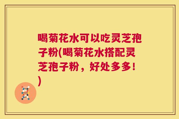 喝菊花水可以吃灵芝孢子粉(喝菊花水搭配灵芝孢子粉，好处多多！)  第1张