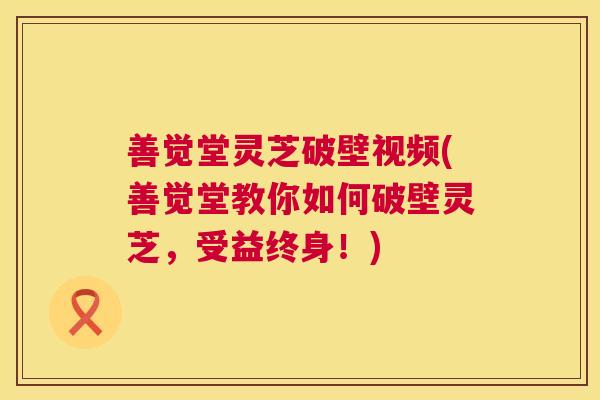 善觉堂灵芝破壁视频(善觉堂教你如何破壁灵芝，受益终身！)  第1张
