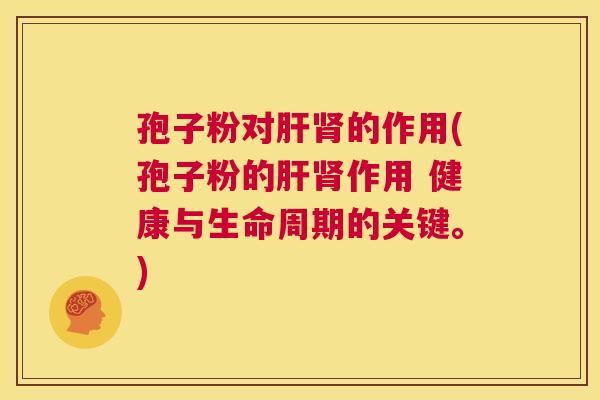 孢子粉对肝肾的作用(孢子粉的肝肾作用 健康与生命周期的关键。)  第1张