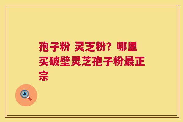 孢子粉 灵芝粉？哪里买破壁灵芝孢子粉最正宗  第1张