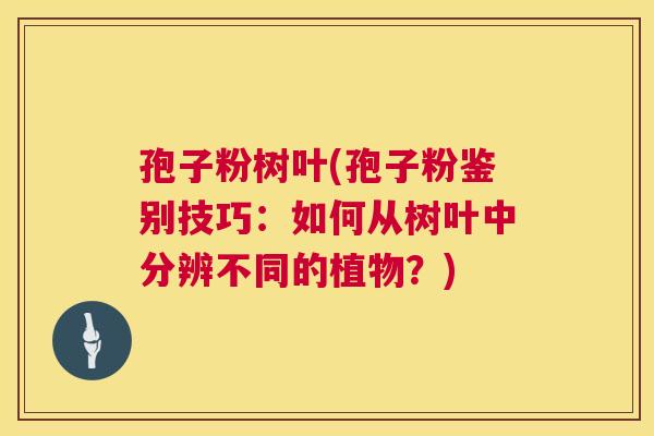 孢子粉树叶(孢子粉鉴别技巧：如何从树叶中分辨不同的植物？)  第1张