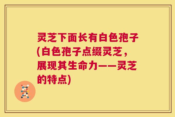 灵芝下面长有白色孢子(白色孢子点缀灵芝，展现其生命力——灵芝的特点)  第1张