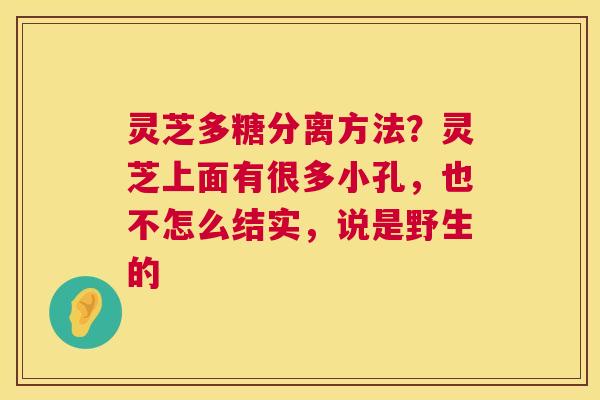 灵芝多糖分离方法？灵芝上面有很多小孔，也不怎么结实，说是野生的  第1张