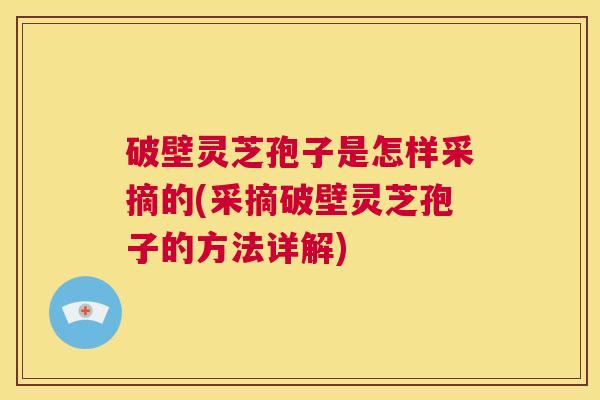 破壁灵芝孢子是怎样采摘的(采摘破壁灵芝孢子的方法详解)  第1张