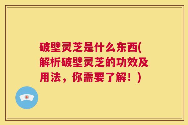 破壁灵芝是什么东西(解析破壁灵芝的功效及用法，你需要了解！)  第1张
