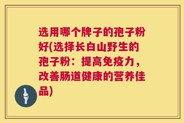 选用哪个牌子的孢子粉好(选择长白山野生的孢子粉：提高免疫力，改善肠道健康的营养佳品)  第1张