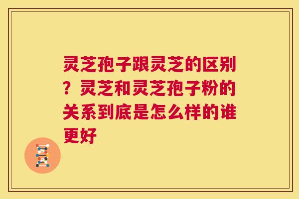 灵芝孢子跟灵芝的区别？灵芝和灵芝孢子粉的关系到底是怎么样的谁更好  第1张