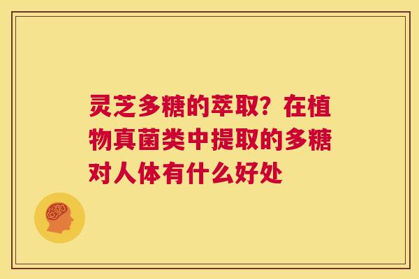 灵芝多糖的萃取？在植物真菌类中提取的多糖对人体有什么好处  第1张