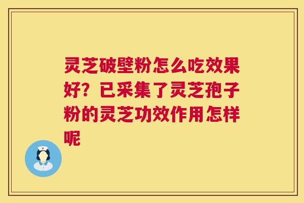 灵芝破壁粉怎么吃效果好？已采集了灵芝孢子粉的灵芝功效作用怎样呢  第1张