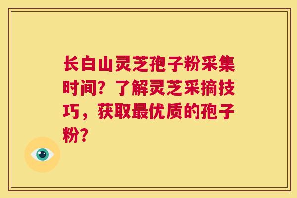 长白山灵芝孢子粉采集时间？了解灵芝采摘技巧，获取最优质的孢子粉？  第1张