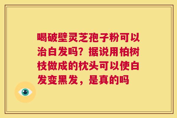 喝破壁灵芝孢子粉可以治白发吗？据说用柏树枝做成的枕头可以使白发变黑发，是真的吗  第1张