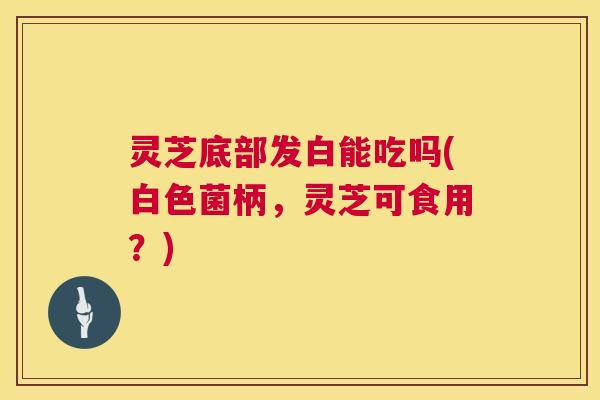 灵芝底部发白能吃吗(白色菌柄，灵芝可食用？)  第1张