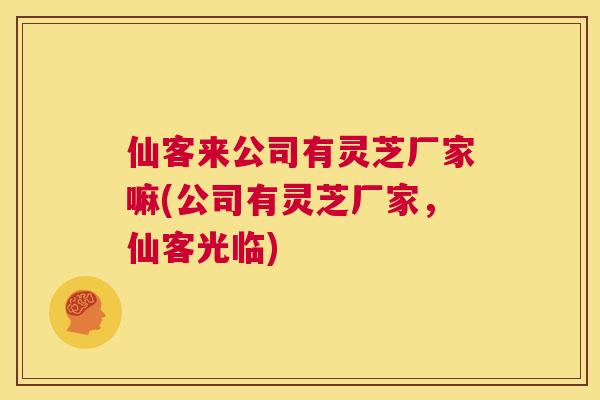 仙客来公司有灵芝厂家嘛(公司有灵芝厂家，仙客光临)  第1张