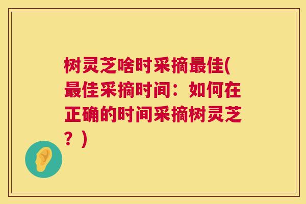 树灵芝啥时采摘最佳(最佳采摘时间：如何在正确的时间采摘树灵芝？)  第1张