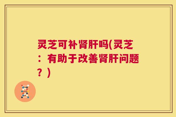 灵芝可补肾肝吗(灵芝：有助于改善肾肝问题？)  第1张