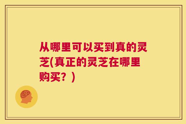从哪里可以买到真的灵芝(真正的灵芝在哪里购买？)  第1张