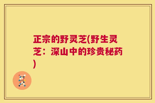 正宗的野灵芝(野生灵芝：深山中的珍贵秘药)  第1张