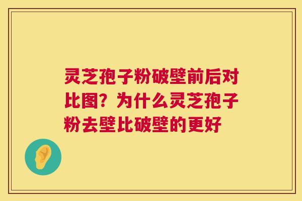 灵芝孢子粉破壁前后对比图？为什么灵芝孢子粉去壁比破壁的更好  第1张