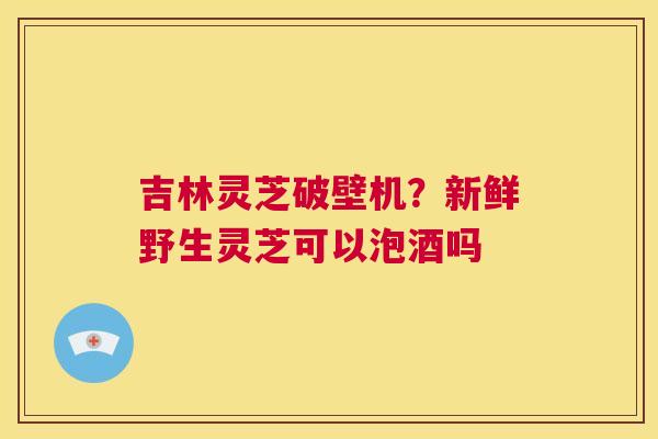 吉林灵芝破壁机？新鲜野生灵芝可以泡酒吗  第1张