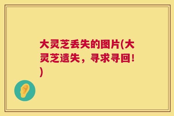 大灵芝丢失的图片(大灵芝遗失，寻求寻回！)  第1张