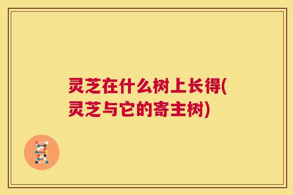 灵芝在什么树上长得(灵芝与它的寄主树)  第1张