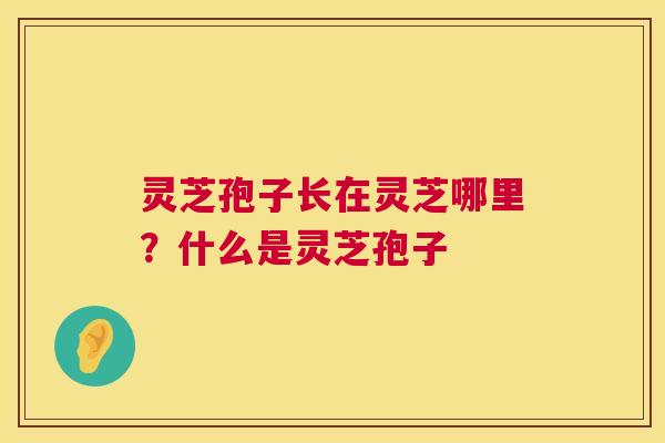 灵芝孢子长在灵芝哪里？什么是灵芝孢子  第1张