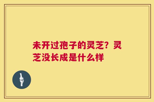 未开过孢子的灵芝？灵芝没长成是什么样  第1张