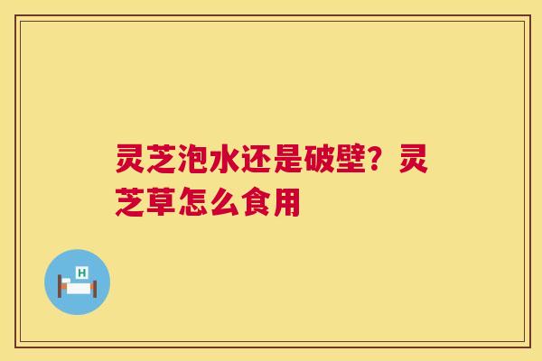 灵芝泡水还是破壁？灵芝草怎么食用  第1张