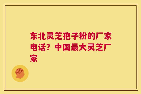 东北灵芝孢子粉的厂家电话？中国最大灵芝厂家  第1张
