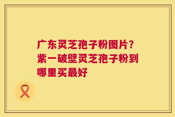 广东灵芝孢子粉图片？紫一破壁灵芝孢子粉到哪里买最好  第1张