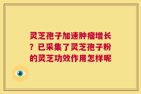 灵芝孢子加速肿瘤增长？已采集了灵芝孢子粉的灵芝功效作用怎样呢  第1张