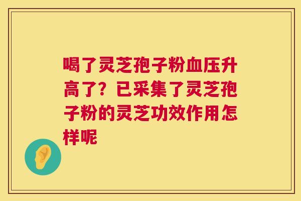 喝了灵芝孢子粉血压升高了？已采集了灵芝孢子粉的灵芝功效作用怎样呢  第1张