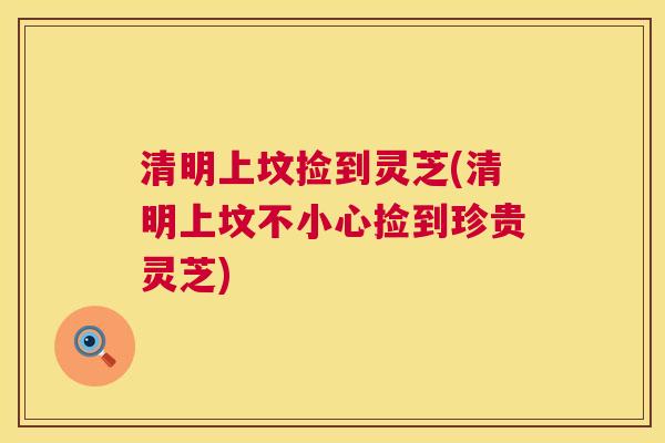 清明上坟捡到灵芝(清明上坟不小心捡到珍贵灵芝)  第1张