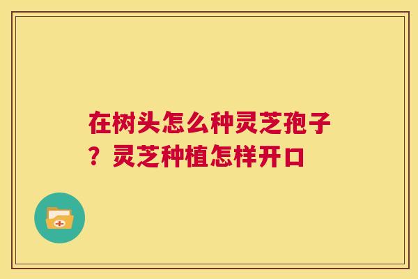 在树头怎么种灵芝孢子？灵芝种植怎样开口  第1张