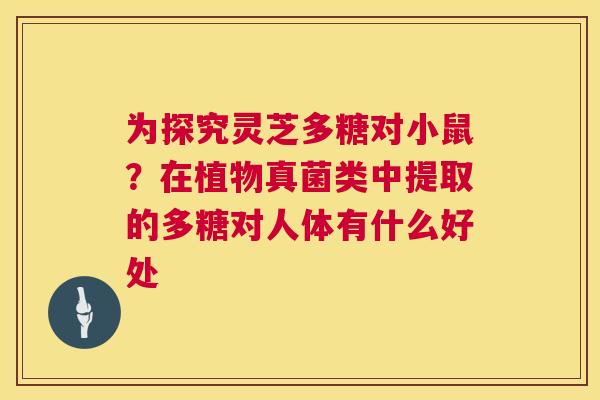 为探究灵芝多糖对小鼠？在植物真菌类中提取的多糖对人体有什么好处  第1张