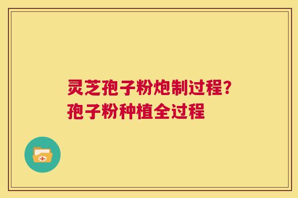 灵芝孢子粉炮制过程？孢子粉种植全过程  第1张