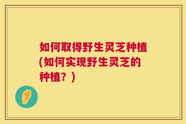 如何取得野生灵芝种植(如何实现野生灵芝的种植？)  第1张