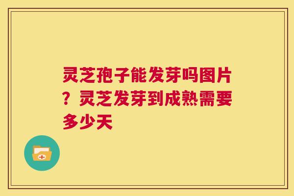 灵芝孢子能发芽吗图片？灵芝发芽到成熟需要多少天  第1张