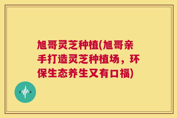 旭哥灵芝种植(旭哥亲手打造灵芝种植场，环保生态养生又有口福)  第1张