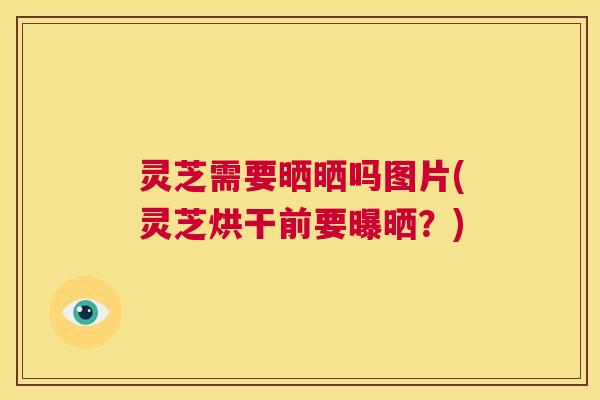 灵芝需要晒晒吗图片(灵芝烘干前要曝晒？)  第1张
