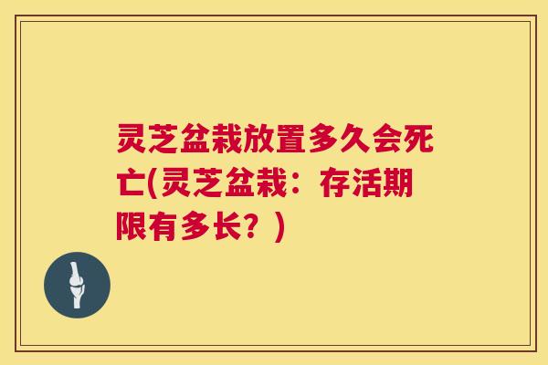 灵芝盆栽放置多久会死亡(灵芝盆栽：存活期限有多长？)  第1张