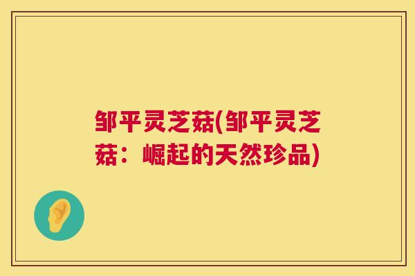 邹平灵芝菇(邹平灵芝菇：崛起的天然珍品)  第1张