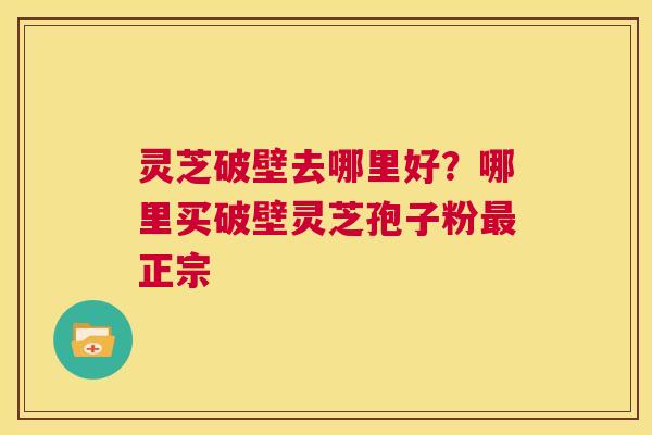 灵芝破壁去哪里好？哪里买破壁灵芝孢子粉最正宗  第1张