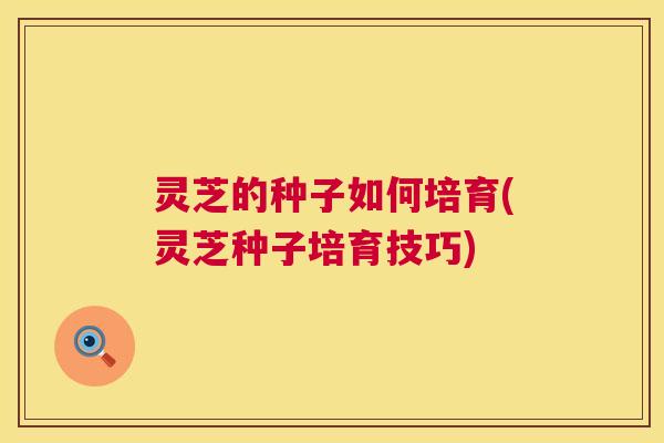 灵芝的种子如何培育(灵芝种子培育技巧)  第1张